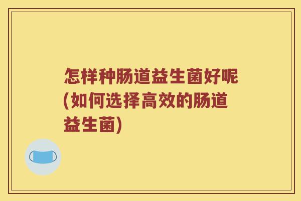 怎样种肠道益生菌好呢(如何选择高效的肠道益生菌)