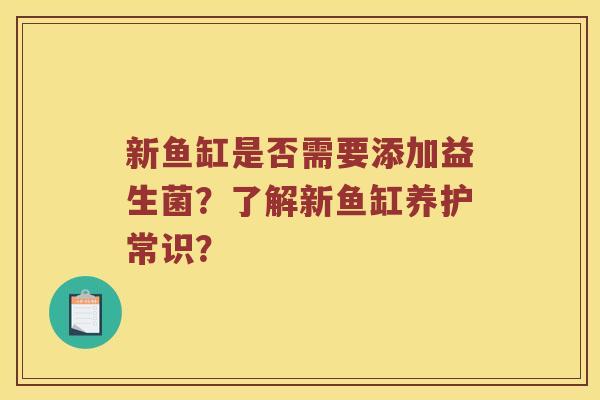 新鱼缸是否需要添加益生菌？了解新鱼缸养护常识？