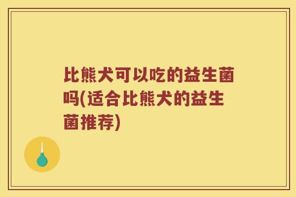 比熊犬可以吃的益生菌吗(适合比熊犬的益生菌推荐)