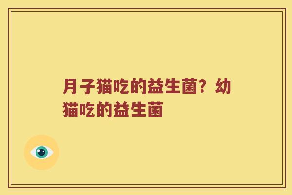 月子猫吃的益生菌？幼猫吃的益生菌