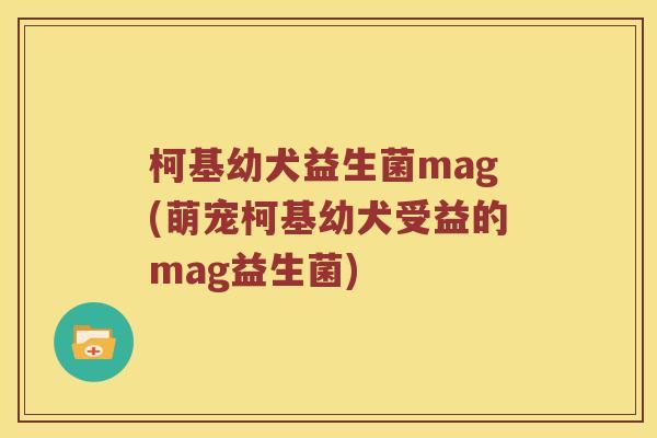 柯基幼犬益生菌mag(萌宠柯基幼犬受益的mag益生菌)