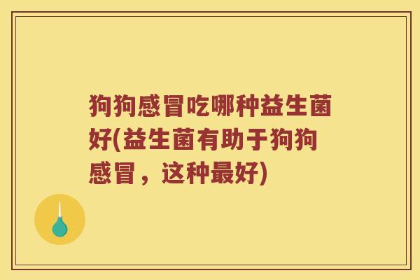 狗狗感冒吃哪种益生菌好(益生菌有助于狗狗感冒，这种最好)