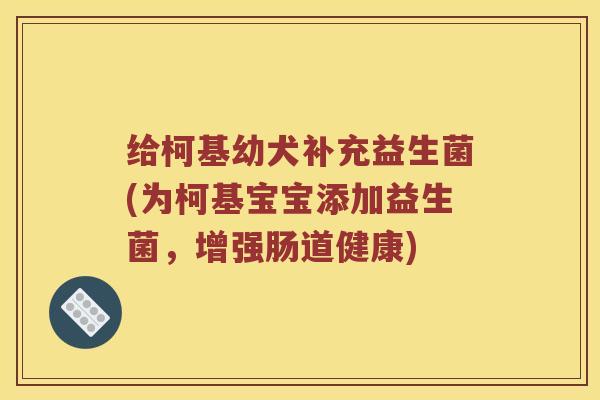 给柯基幼犬补充益生菌(为柯基宝宝添加益生菌，增强肠道健康)