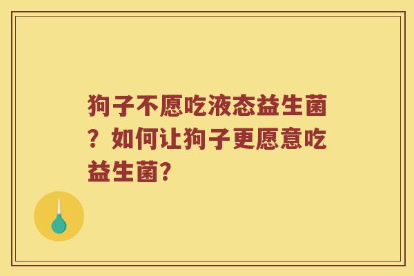 狗子不愿吃液态益生菌？如何让狗子更愿意吃益生菌？
