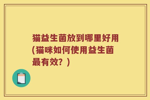 猫益生菌放到哪里好用(猫咪如何使用益生菌最有效？)