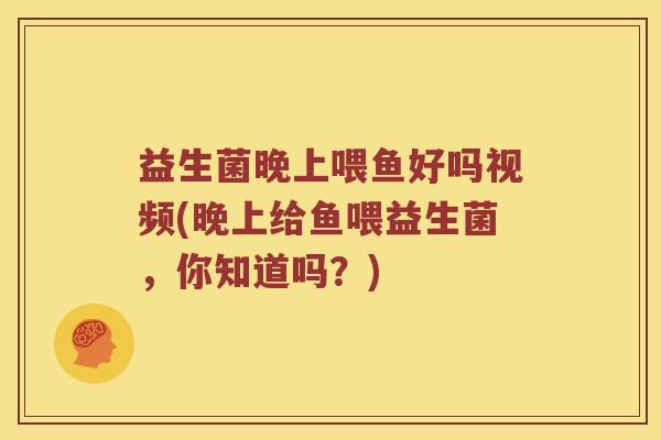 益生菌晚上喂鱼好吗视频(晚上给鱼喂益生菌，你知道吗？)