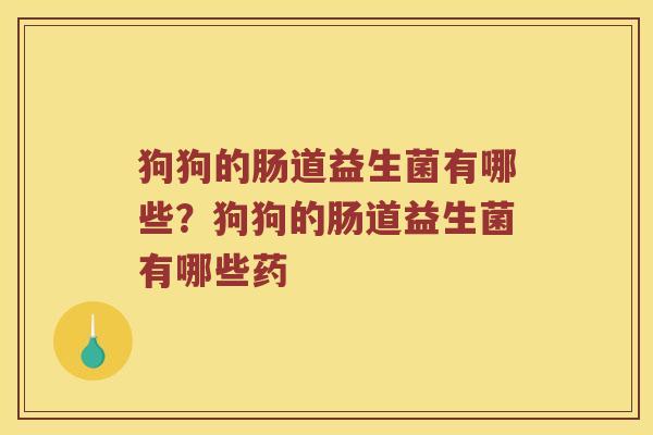 狗狗的肠道益生菌有哪些？狗狗的肠道益生菌有哪些药