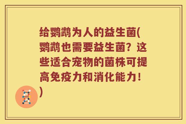 给鹦鹉为人的益生菌(鹦鹉也需要益生菌?这些适合宠物的菌株可提高力和消化能力!) 给鹦鹉为人的益生菌(鹦鹉也需要益生菌?这些适合宠物的菌株可提高力和消化能力!)