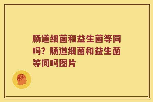 肠道细菌和益生菌等同吗？肠道细菌和益生菌等同吗图片