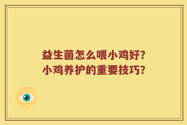 益生菌怎么喂小鸡好？小鸡养护的重要技巧？