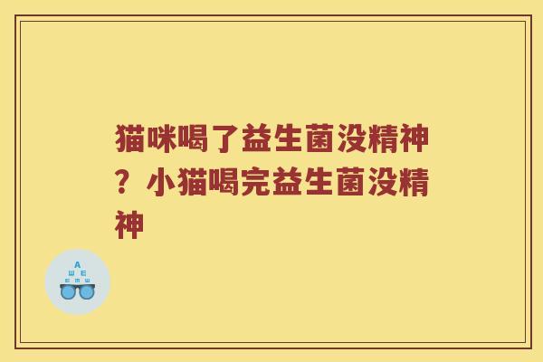 猫咪喝了益生菌没精神？小猫喝完益生菌没精神