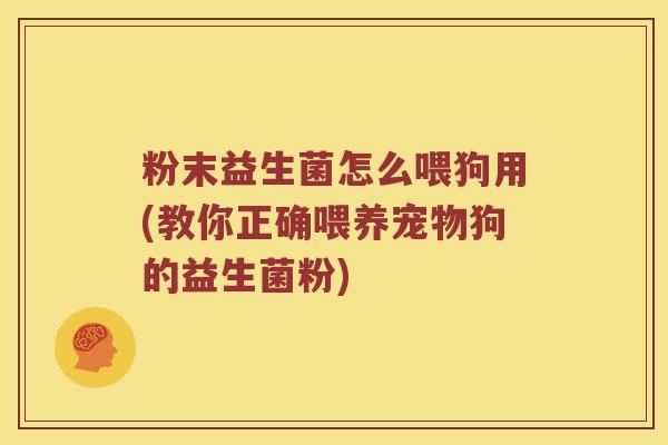 粉末益生菌怎么喂狗用(教你正确喂养宠物狗的益生菌粉)