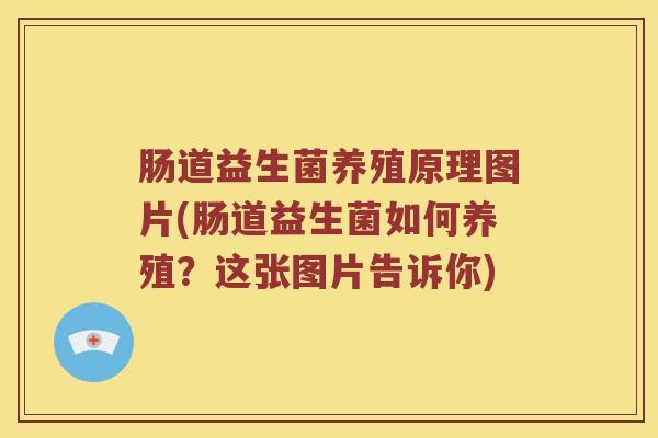 肠道益生菌养殖原理图片(肠道益生菌如何养殖？这张图片告诉你)