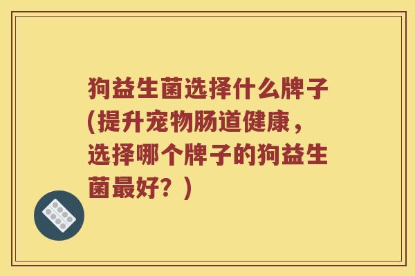 狗益生菌选择什么牌子(提升宠物肠道健康，选择哪个牌子的狗益生菌最好？)