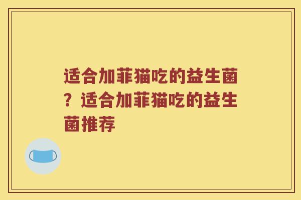 适合加菲猫吃的益生菌？适合加菲猫吃的益生菌推荐