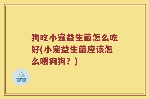 狗吃小宠益生菌怎么吃好(小宠益生菌应该怎么喂狗狗？)