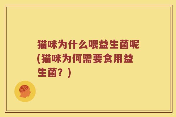 猫咪为什么喂益生菌呢(猫咪为何需要食用益生菌？)