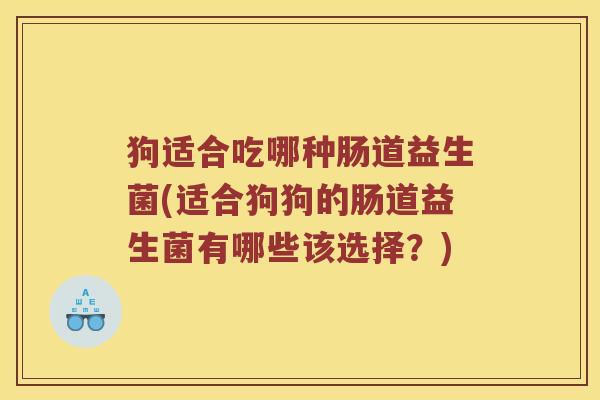 狗适合吃哪种肠道益生菌(适合狗狗的肠道益生菌有哪些该选择？)