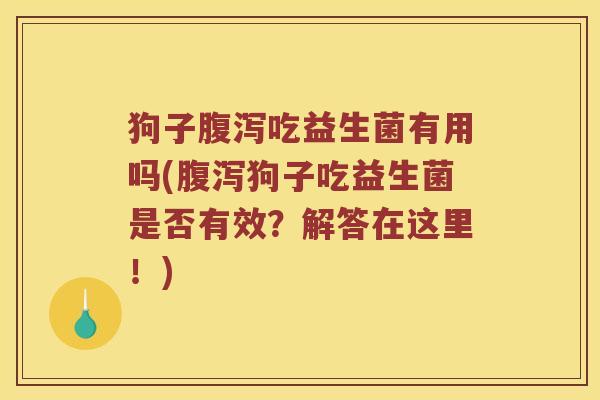 狗子腹泻吃益生菌有用吗(腹泻狗子吃益生菌是否有效？解答在这里！)