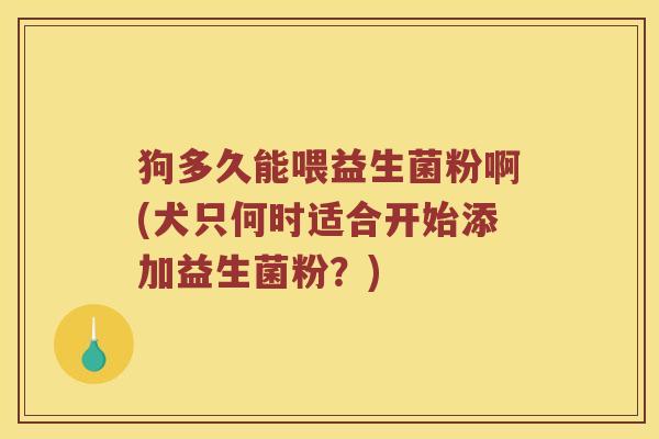 狗多久能喂益生菌粉啊(犬只何时适合开始添加益生菌粉?) 狗多久能喂益生菌粉啊(犬只何时适合开始添加益生菌粉?)