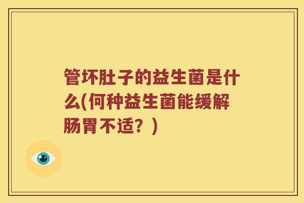 管坏肚子的益生菌是什么(何种益生菌能缓解肠胃不适？)