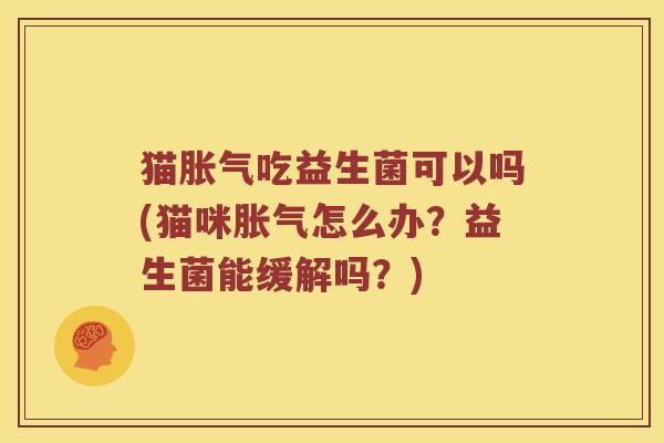 猫胀气吃益生菌可以吗(猫咪胀气怎么办？益生菌能缓解吗？)