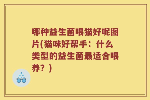 哪种益生菌喂猫好呢图片(猫咪好帮手：什么类型的益生菌最适合喂养？)