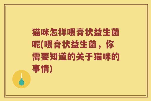 猫咪怎样喂膏状益生菌呢(喂膏状益生菌，你需要知道的关于猫咪的事情)