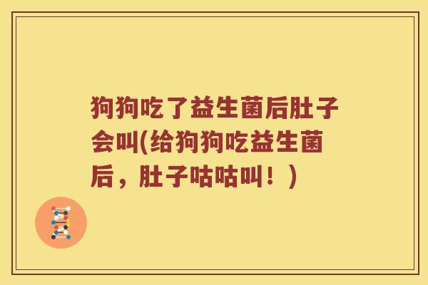 狗狗吃了益生菌后肚子会叫(给狗狗吃益生菌后，肚子咕咕叫！)