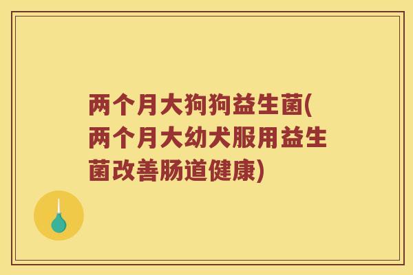 两个月大狗狗益生菌(两个月大幼犬服用益生菌改善肠道健康)