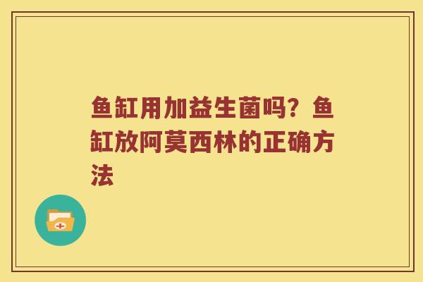 鱼缸用加益生菌吗？鱼缸放阿莫西林的正确方法