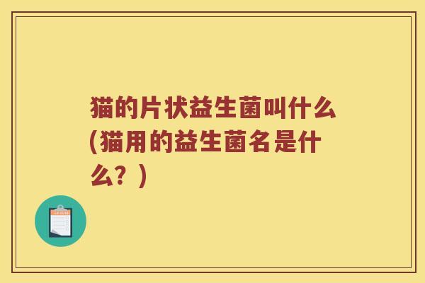 猫的片状益生菌叫什么(猫用的益生菌名是什么？)