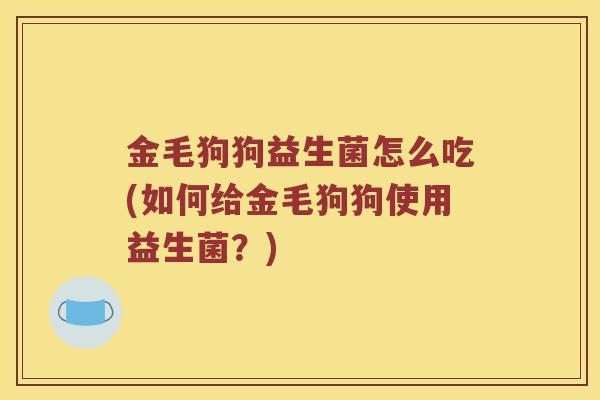 金毛狗狗益生菌怎么吃(如何给金毛狗狗使用益生菌？)