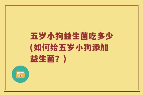 五岁小狗益生菌吃多少(如何给五岁小狗添加益生菌？)