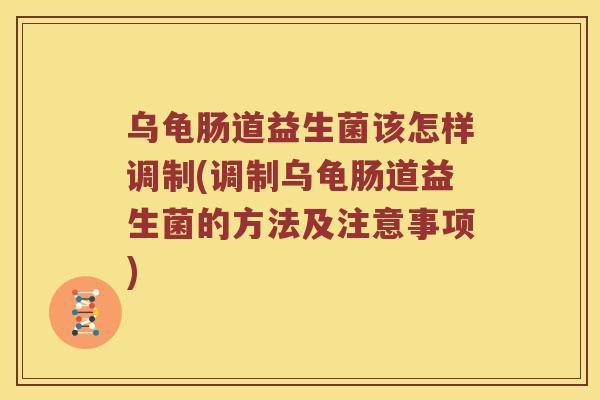 乌龟肠道益生菌该怎样调制(调制乌龟肠道益生菌的方法及注意事项)