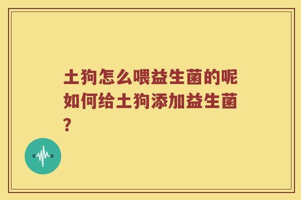 土狗怎么喂益生菌的呢如何给土狗添加益生菌？
