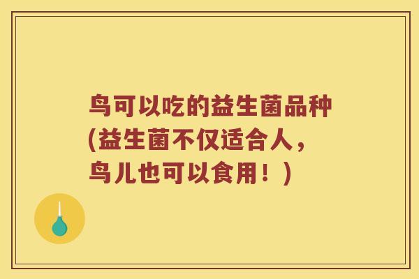 鸟可以吃的益生菌品种(益生菌不仅适合人，鸟儿也可以食用！)