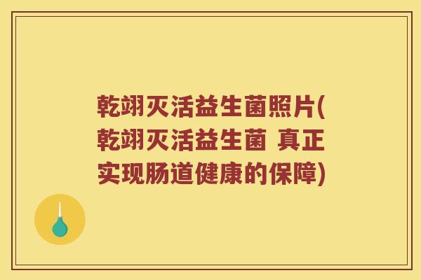 乾翊灭活益生菌照片(乾翊灭活益生菌 真正实现肠道健康的保障) 乾翊灭活益生菌照片(乾翊灭活益生菌 真正实现肠道健康的保障)