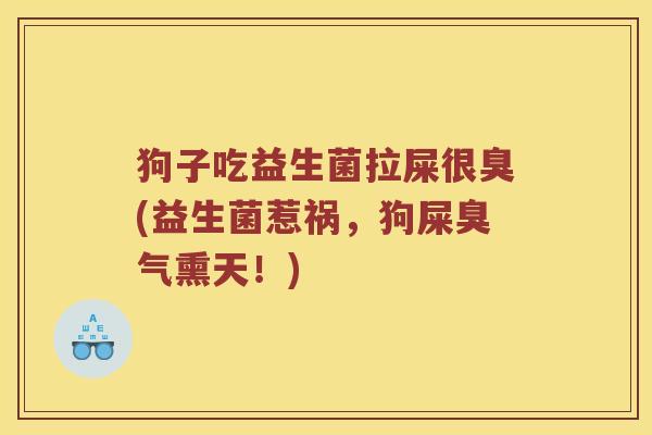 狗子吃益生菌拉屎很臭(益生菌惹祸，狗屎臭气熏天！)
