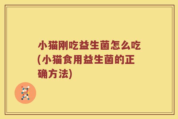 小猫刚吃益生菌怎么吃(小猫食用益生菌的正确方法)