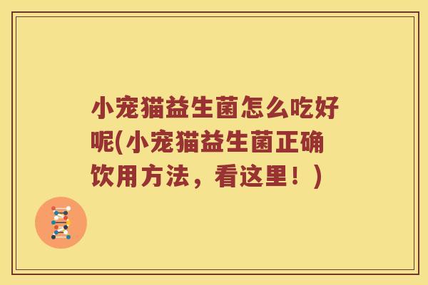 小宠猫益生菌怎么吃好呢(小宠猫益生菌正确饮用方法，看这里！)
