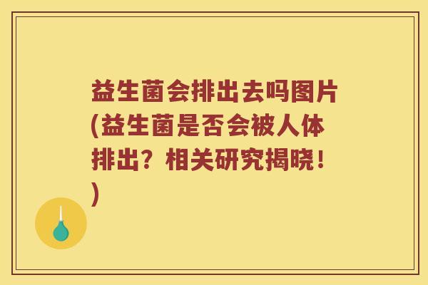 益生菌会排出去吗图片(益生菌是否会被人体排出？相关研究揭晓！)
