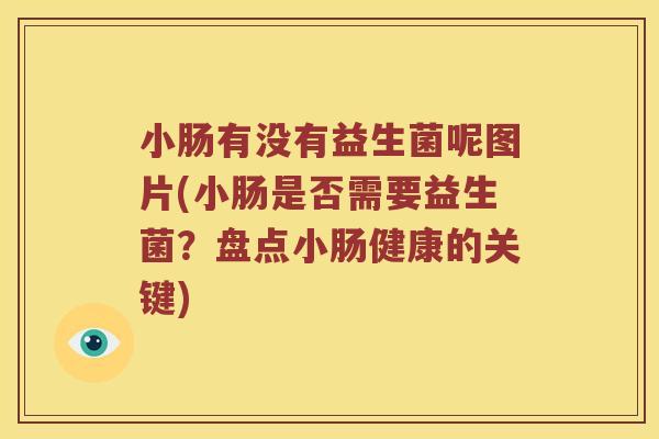 小肠有没有益生菌呢图片(小肠是否需要益生菌？盘点小肠健康的关键)