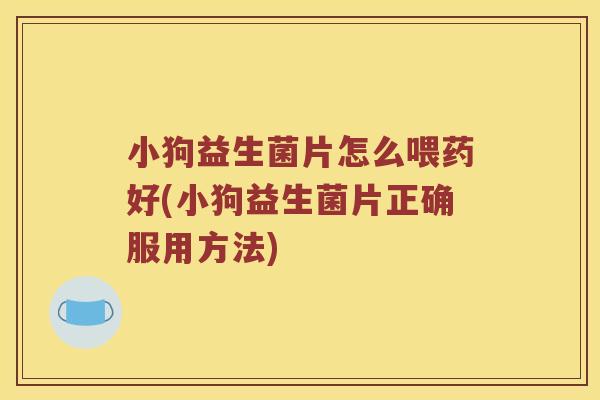 小狗益生菌片怎么喂药好(小狗益生菌片正确服用方法)
