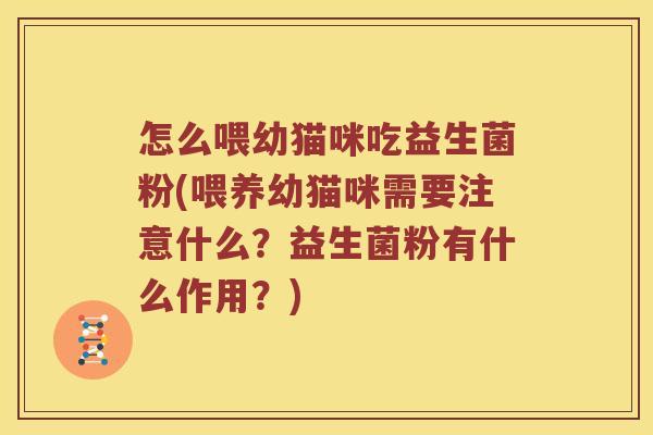 怎么喂幼猫咪吃益生菌粉(喂养幼猫咪需要注意什么？益生菌粉有什么作用？)