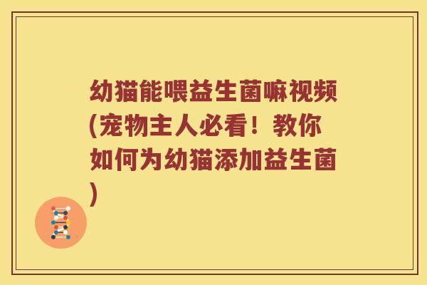 幼猫能喂益生菌嘛视频(宠物主人必看！教你如何为幼猫添加益生菌)