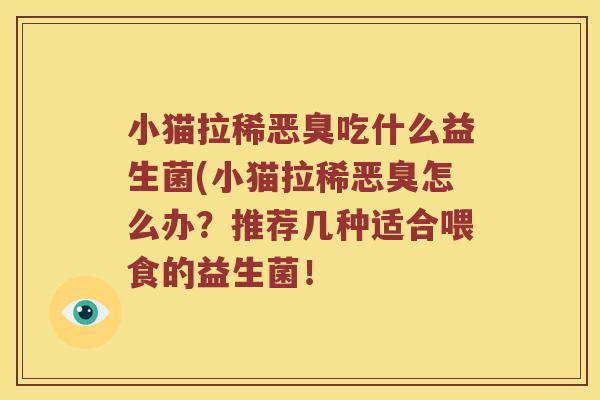 小猫拉稀恶臭吃什么益生菌(小猫拉稀恶臭怎么办？推荐几种适合喂食的益生菌！