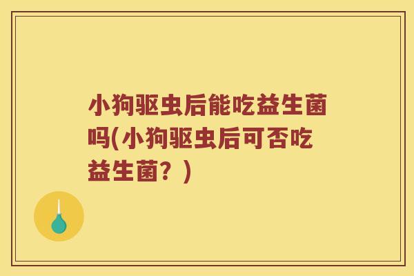 小狗驱虫后能吃益生菌吗(小狗驱虫后可否吃益生菌？)