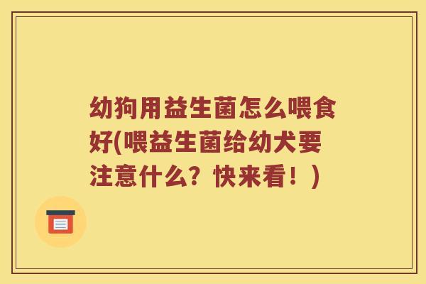 幼狗用益生菌怎么喂食好(喂益生菌给幼犬要注意什么？快来看！)