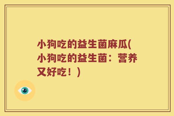 小狗吃的益生菌麻瓜(小狗吃的益生菌:营养又好吃!) 小狗吃的益生菌麻瓜(小狗吃的益生菌:营养又好吃!)
